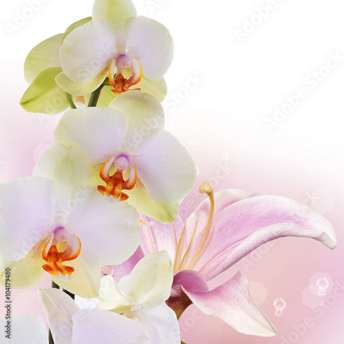 Orchid with lily.Flower bouquet