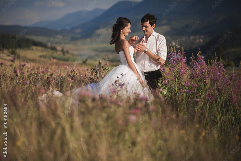 Romantic fairytale couple newlyweds kissing and embracing on a background of mountains 