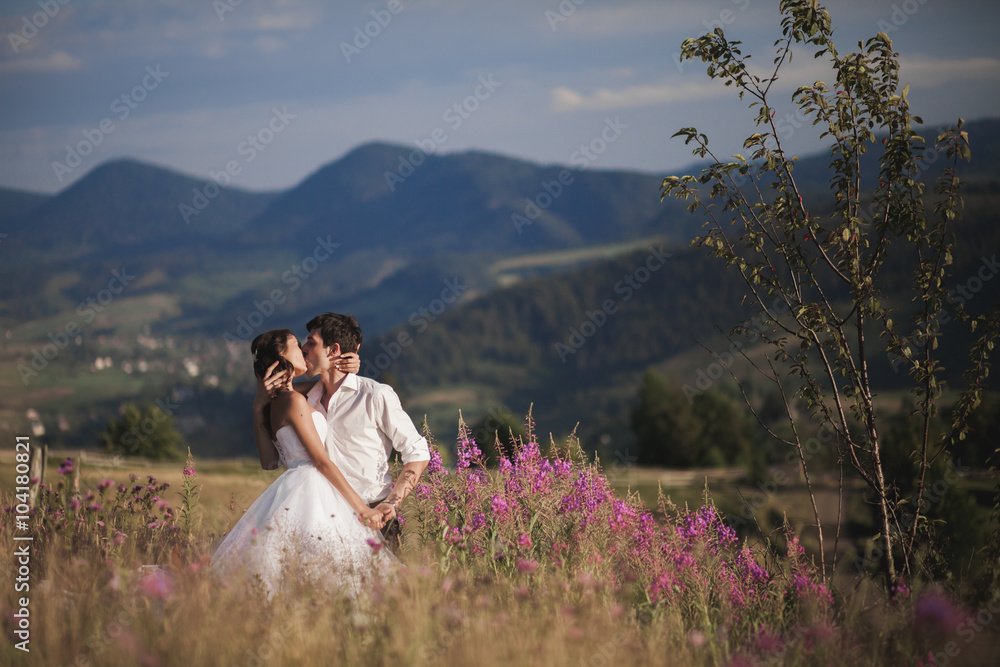Romantic fairytale couple newlyweds kissing and embracing on a background of mountains 