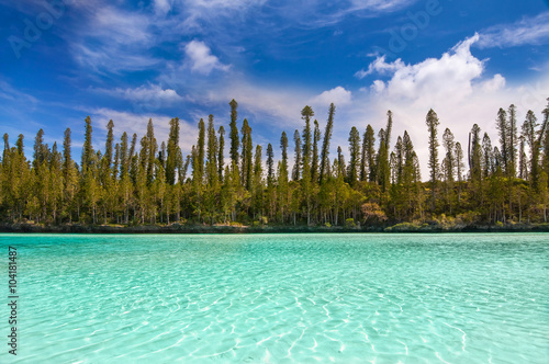 Natural pool of Oro Bay, Isle of Pines, New Caledonia