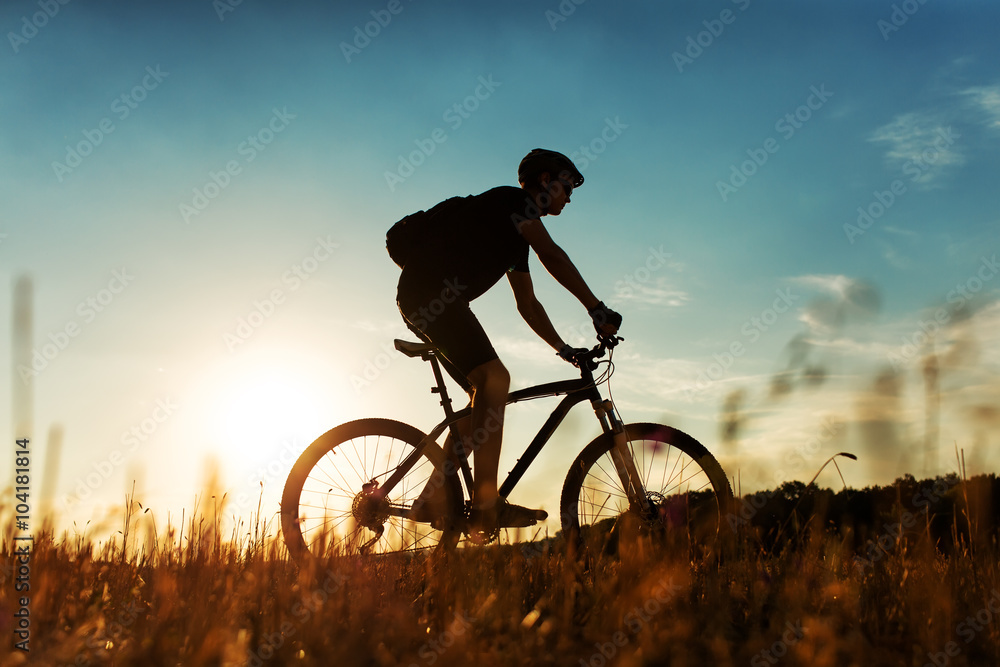 Fototapeta premium Rider on Mountain Bicycle it the field