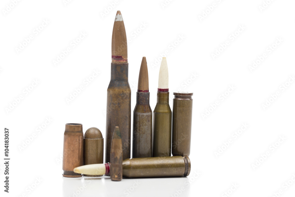 cartridges on the white background cartridges on the white background