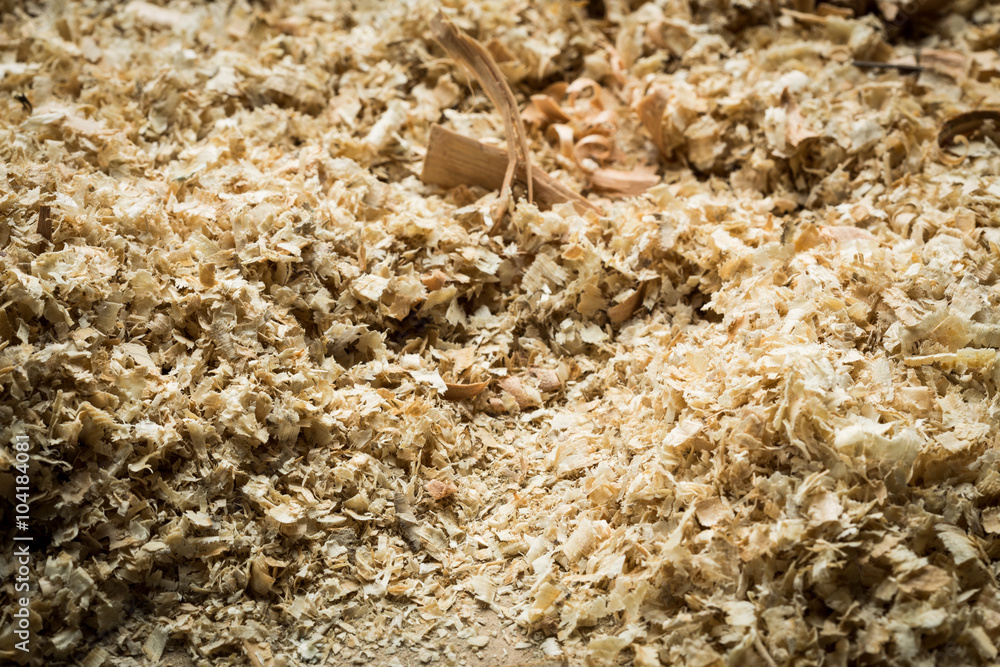 Wood shavings