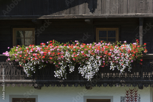 Fototapeta Naklejka Na Ścianę i Meble -  Österreich, Blumenkästen an einem Bauernhaus