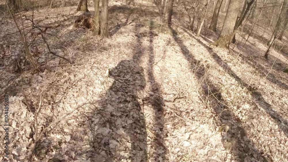 Someone Walks Among Bare Trees in Forest Pov Someone Walks Among Bare Trees in Forest Pov
