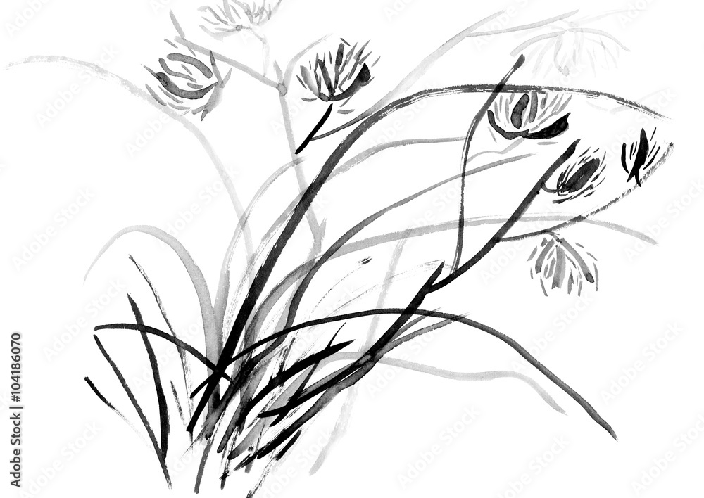 Black and white herb with flowers drawn by hand with ink Black and white herb with flowers drawn by hand with ink