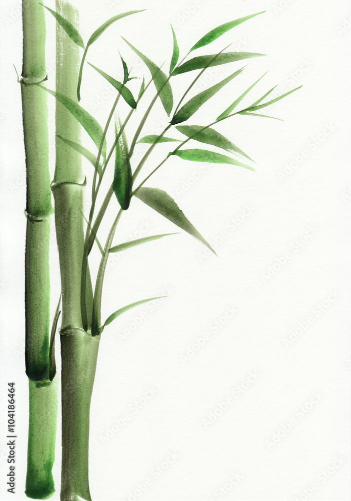 Naklejka premium Bamboo original watercolor painting. Asian style.