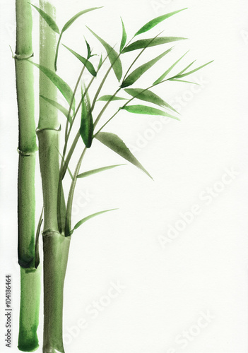 Fototapeta Naklejka Na Ścianę i Meble -  Bamboo original watercolor painting. Asian style.