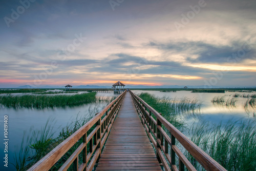 Wallpaper Mural Wooden Bridge in lotus lake on sunset time at Khao Sam Roi Yot National Park, Thailand Torontodigital.ca