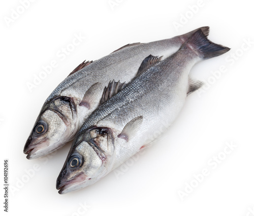 Seabass isolated on white background with clipping path