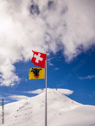 Konstfotografi Flag of Switzerland and Canton Uri with the Alps as background