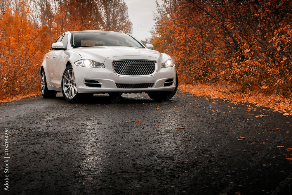 Naklejka premium Whtie luksusowy samochód pozostaje na mokrej drodze asfaltowej jesienią