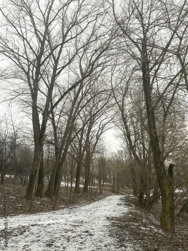 The road in winter park