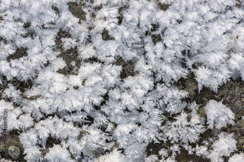 crystals of snow on the ground