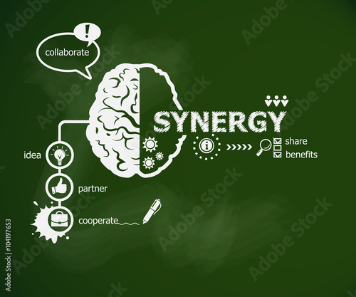 Synergy concept and brain.