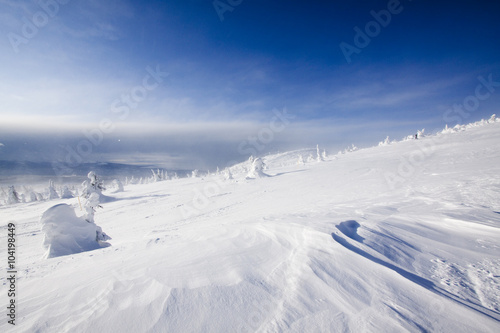 snowy landscape view