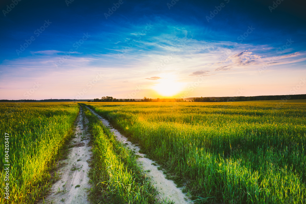 Sunset, sunrise, sun over rural countryside wheat field and road