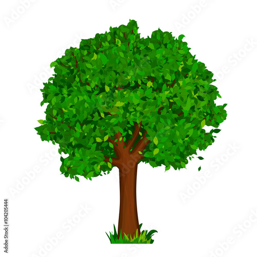 Green tree with leaves