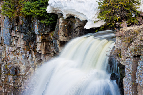 flower waterfalls closeup photo