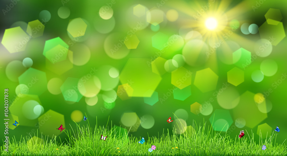 Obraz premium Spring background with green grass