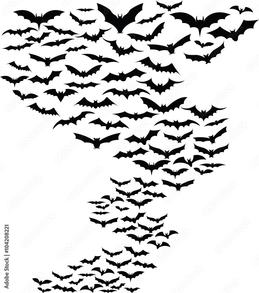 Obraz premium Bats flying around simple background