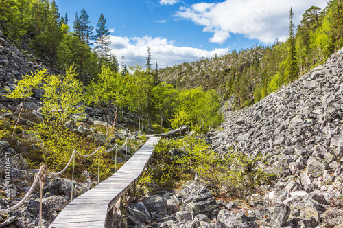 Wanderpfad im Pyhä-Luosto National Park -Finnland 7