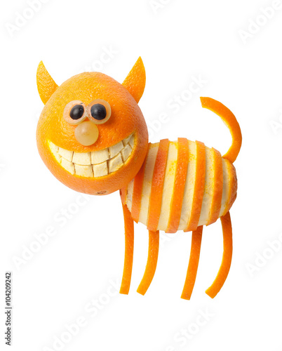 Happy cat made of orange and grape on isolated background