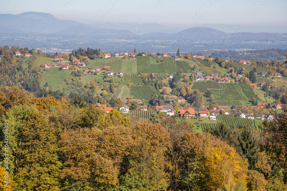 Herbstlich verfärbte Weinberge im südsteirischen Hügelland
