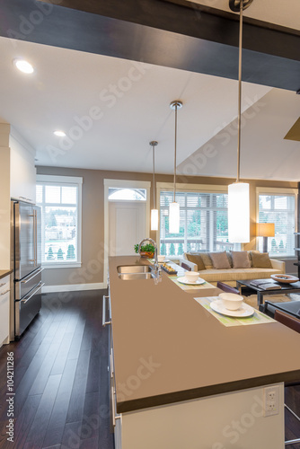 Modern, bright, clean, kitchen interior with stainless steel appliances in a luxury house © karamysh