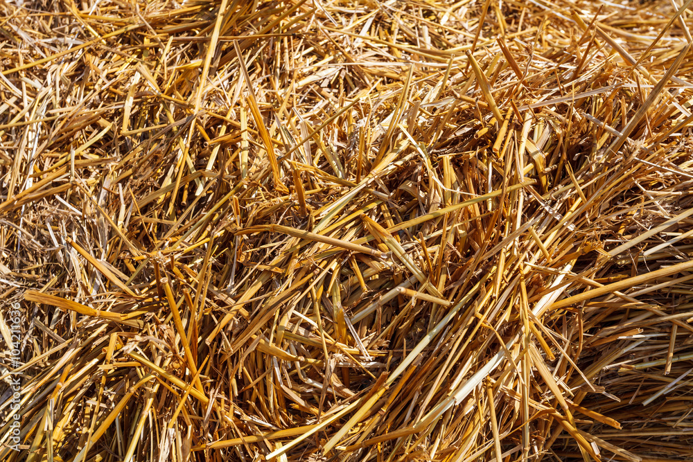 Field of straw