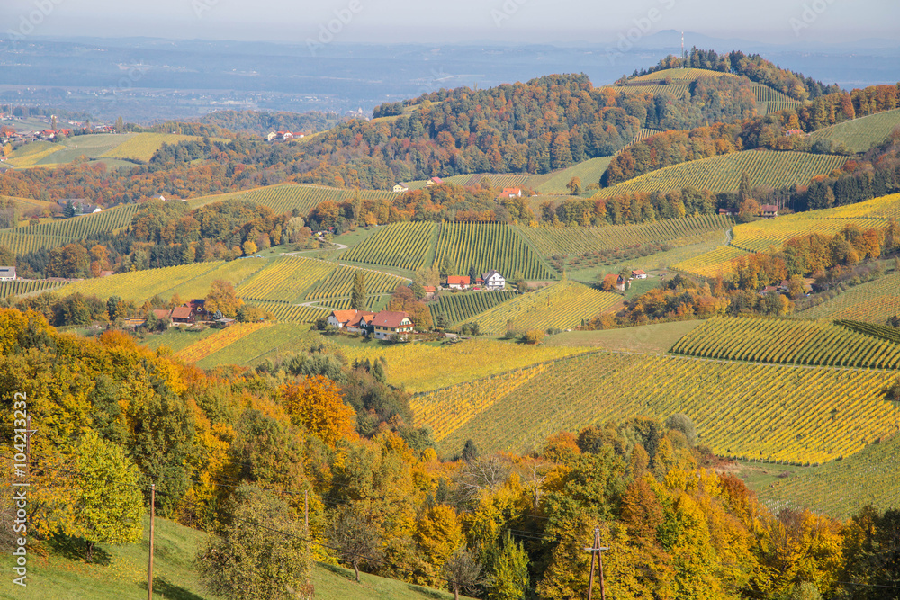 wunderschöne Herbststimmung auf sanften Weinbergergen wunderschöne Herbststimmung auf sanften Weinbergergen