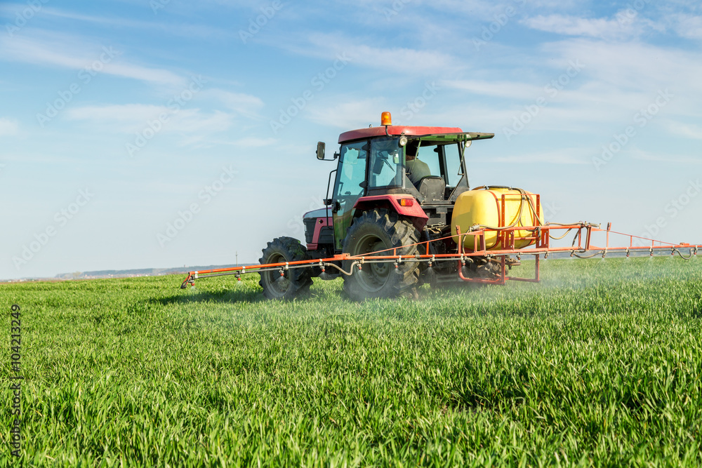 Naklejka premium Farmer spraying green wheat field