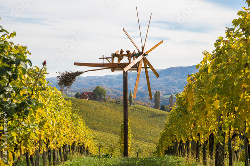 Klapotetz auf steirischem Weinberg photo