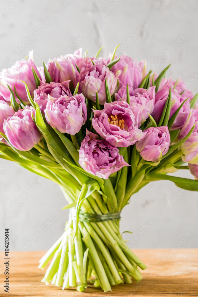 pink tulips pink tulips