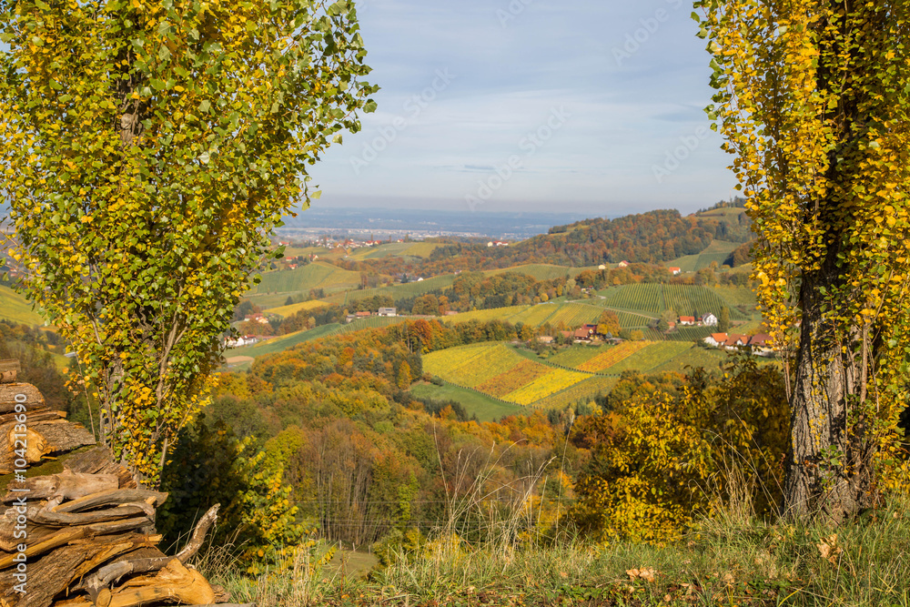 Herbstlich verfärbte Weinberge im südsteirischen Hügelland