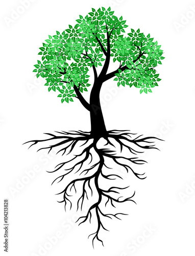 Tree icon with green leaves and roots