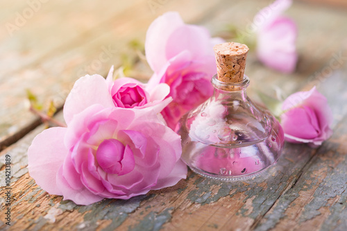 Bottle of essential oil or rose water and pink rose flowers on rustic wood, still life of natural cosmetics, aromatherapy. alternative medicine