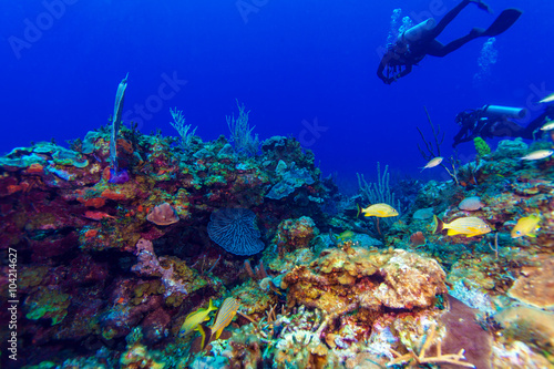 Fototapeta Naklejka Na Ścianę i Meble -  Colorfull reef and group of divers, Cayo Largo, Cuba