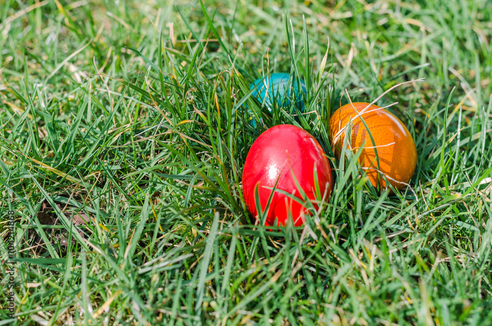 Fototapeta premium Ostern