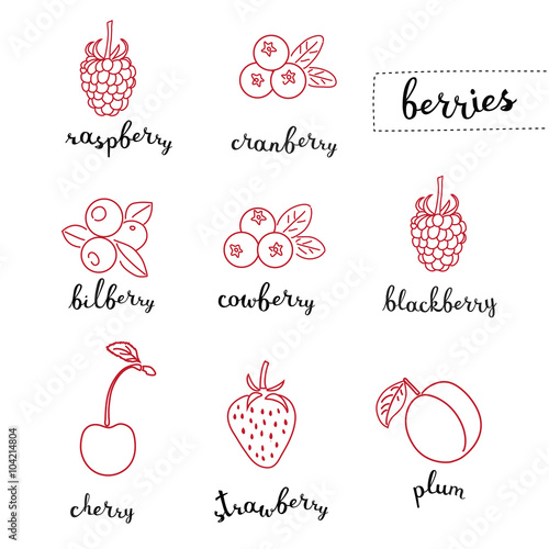 Different kinds of berries 