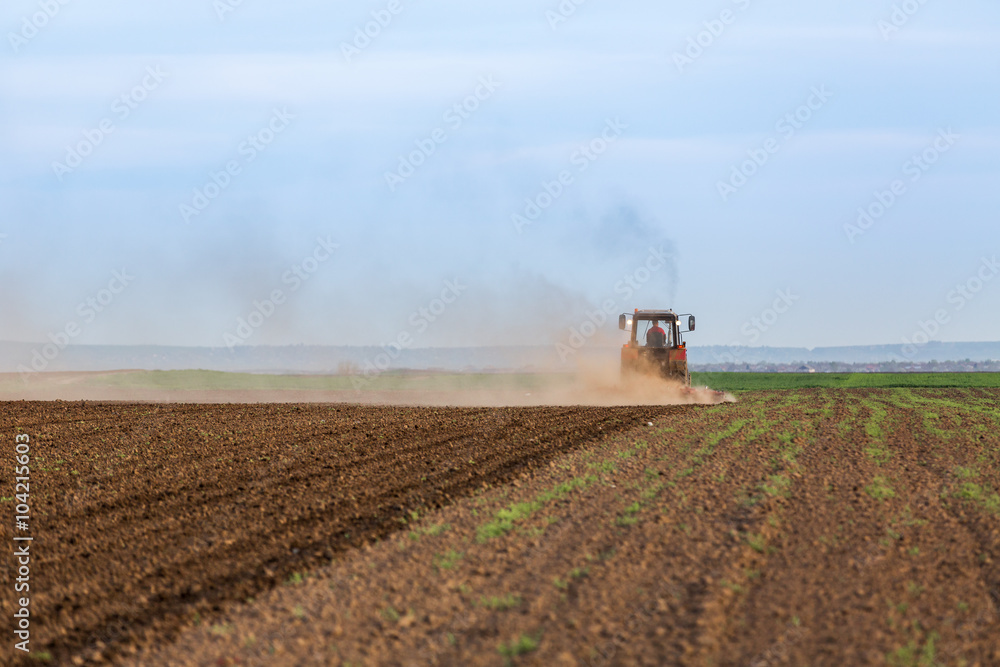 Fototapeta premium Farmer cultivating arable land before seeding