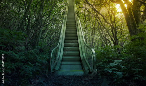 Escalator in the forest