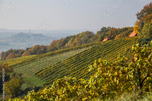 Herbstlich verfärbte Weinberge im südsteirischen Hügelland photo