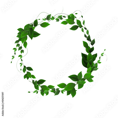 vector. Round banner of branches with leaves. Green leaves in a
