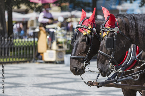 Horse Carriage waiting for tourists at the Old Square in Prague.