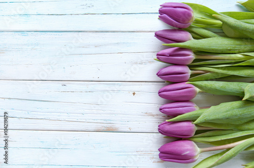 Tulip flowers background