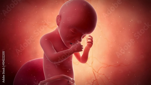 medical 3d animation of a fetus - week 30 photo