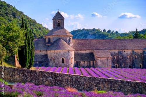 Lavender fields at Senanque monastery, Provence, France