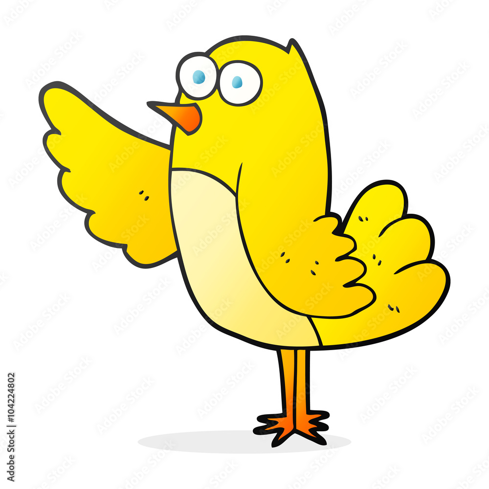 cartoon bird cartoon bird