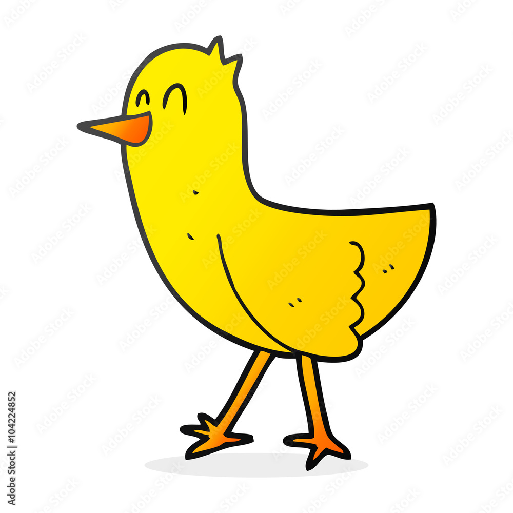 cartoon bird cartoon bird